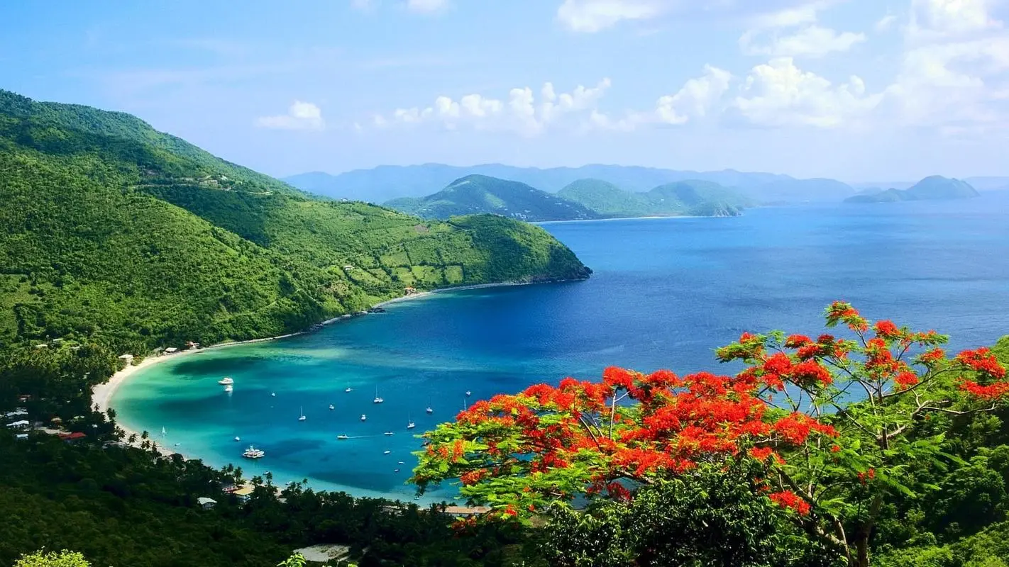高标准高性能